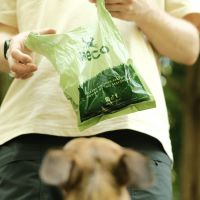 Beco Bags Handles 5