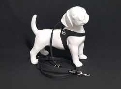 Tre Ponti Liberta Tuig 2