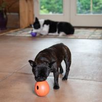 West Paw Zogoflex Rumbl 8