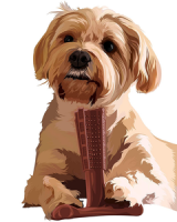 Bamboodles T-Bone Chew Pindakaas 4