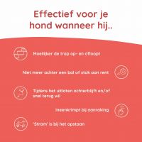 Greenfields Mobility+ 6