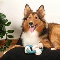 Milou Rosewood Hondenspeeltje 6