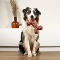 Dente Touwspeelgoed 10