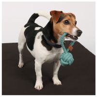 Harper Bal met Lus 9