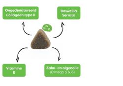 Sanimal Soepele Gewrichten 2