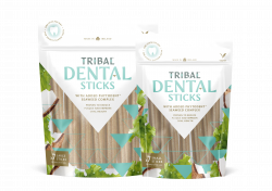 Tribal Dental Stick Large 5