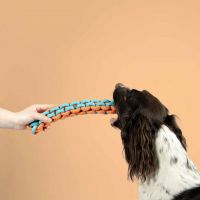 Hondenspeeltje Twisting Tugger blauw/oranje 4