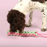 Hondenspeeltje Twisting Tugger groen/roze 3