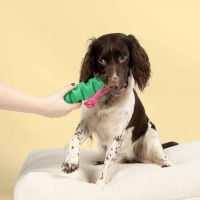 Hondenspeeltje Groovy Grip groen/roze 3