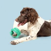 Hondenspeeltje Wiggle groen 3