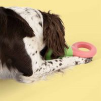 Hondenspeeltje Doodle groen/roze 3