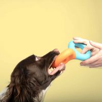 Hondenspeeltje Doodle blauw/oranje 3