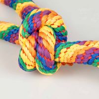 Sweater touw lus 3 knopen meerkleurig 4