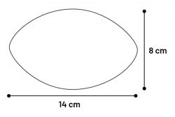 Freckles Rugbybal Meerdere kleuren 4