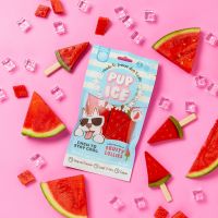 Pup Ice Hondenijsje Fruit Lollie Watermeloen pak a 3 stuks 2