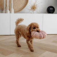 Daisy Hondenspeelgoed 8