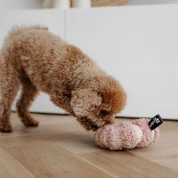 Daisy Hondenspeelgoed 4