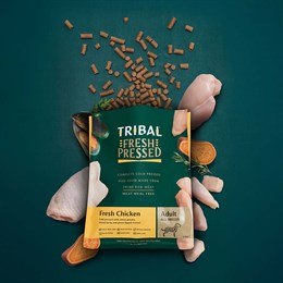 Tribal Koudgeperste voeding Volwassen Kip