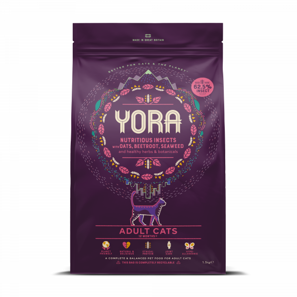 Yora Volwassen Kat