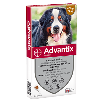 Advantix 600