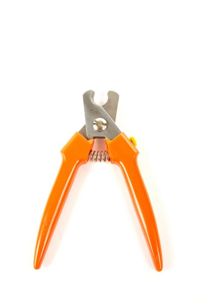 Nagelschaar Oranje Alle Rassen